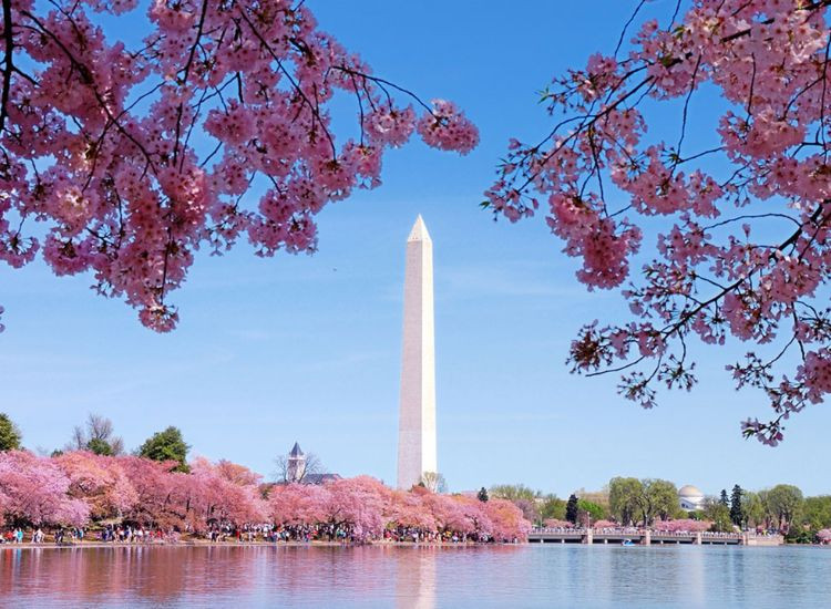 Tour Nhật Bản hay tự túc 3