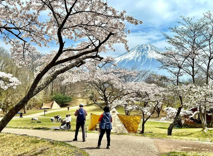 Tour Nhật Bản hay tự túc 2