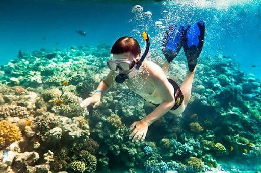 Lặn ngắm san hô và chụp hình khi đi du lịch Quy Nhơn