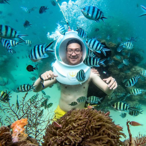 Đi bộ dưới biển ngắm san hô ở những địa điểm du lịch ở Quy Nhơn Bình Định