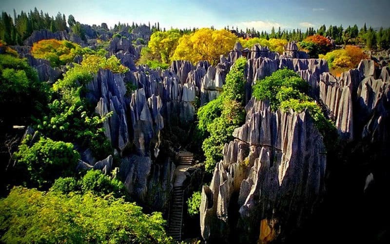 Rừng đá Thạch Lâm tại Vân Nam Trung Quốc