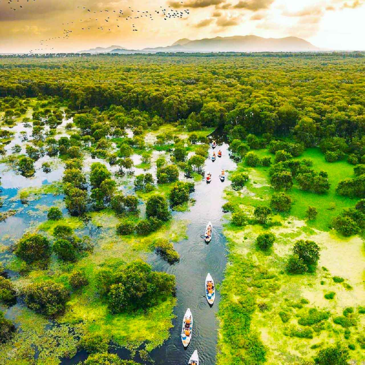 Rừng tràm Trà Sư Rừng tràm Trà Sư