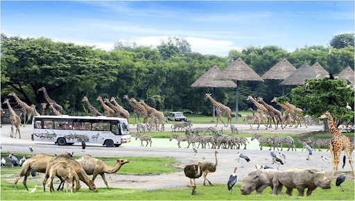 kinh nghiệm đi Bangkok, khám phá Safari World