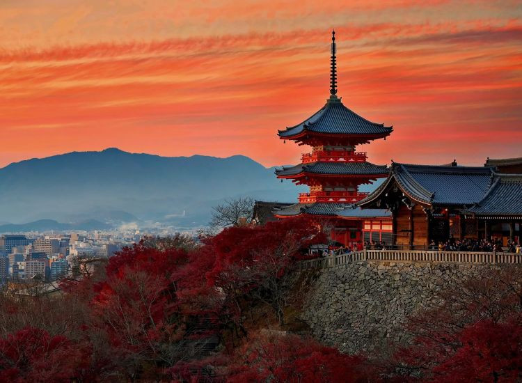 sim du lịch Nhật Bản 2