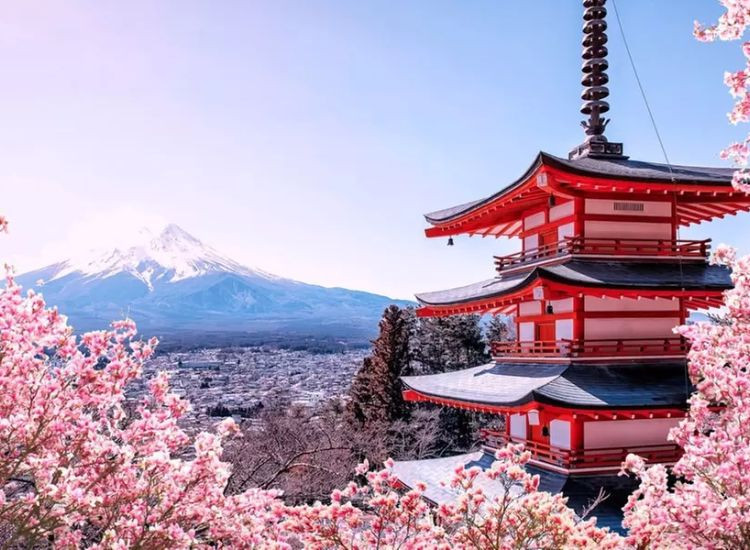 sim du lịch Nhật Bản 3