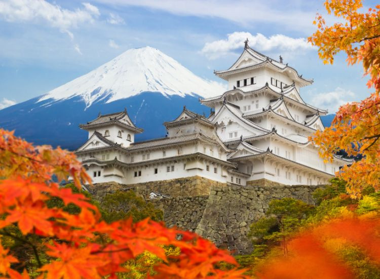 tàu cao tốc Nhật Bản 1