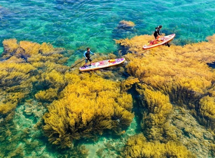 Tàu lửa đến Quy Nhơn và những ưu điểm Tàu lửa đến Quy Nhơn và những ưu điểm