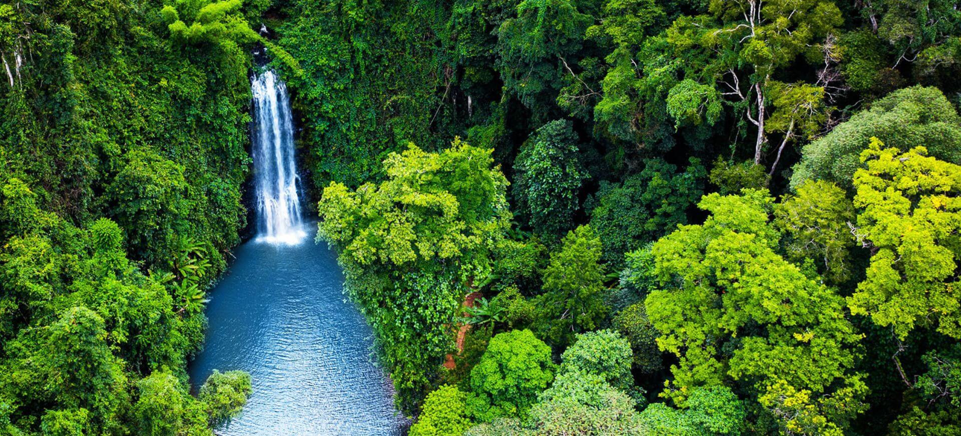 Các điểm du lịch măng đen