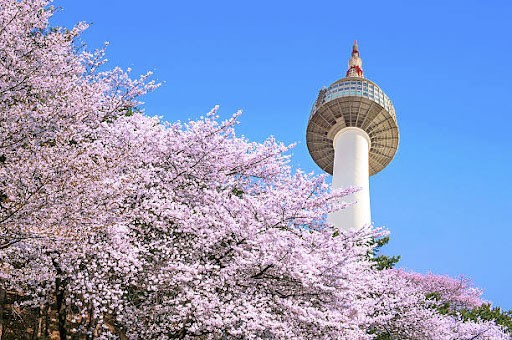 Tháp Namsan, địa điểm du lịch Hàn Quốc