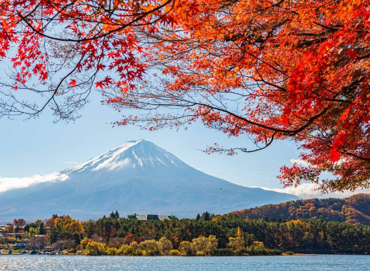 Thời gian xin Visa Nhật Bản mất bao lâu? 3