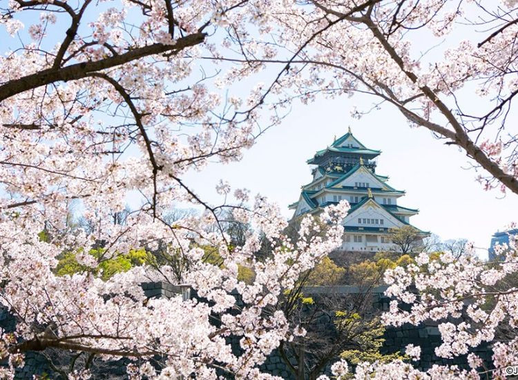 Thời gian xin Visa Nhật Bản mất bao lâu? 2