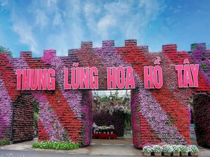 Thung lũng hoa Hồ Tây