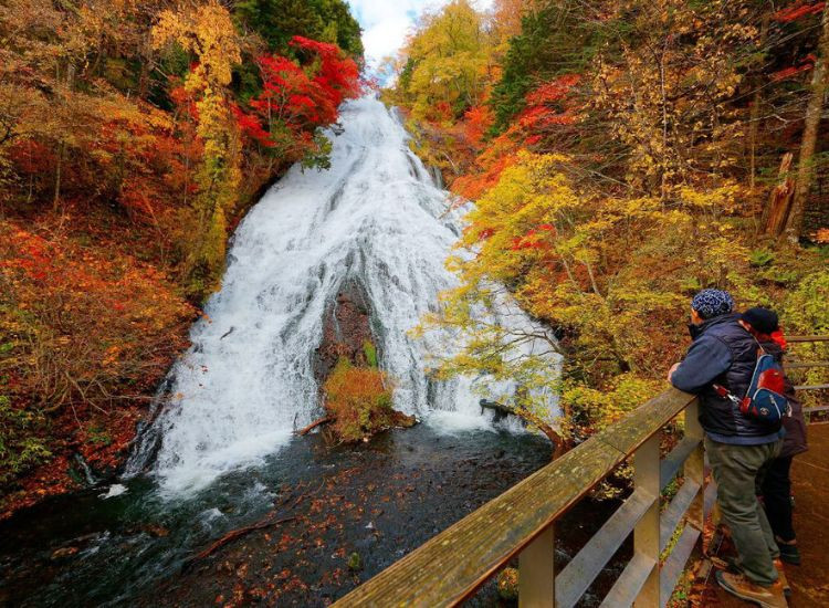 Tổng kết tour Nhật Bản 2026 1