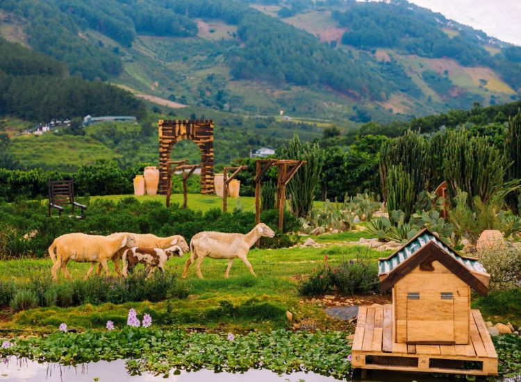 Tour du lịch Đà Lạt tết 2026 trọn gói 3