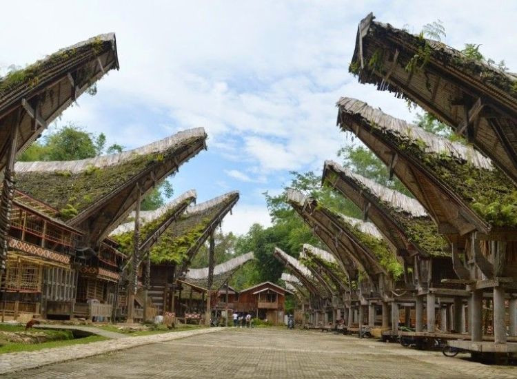 tour du lịch Indonesia 5