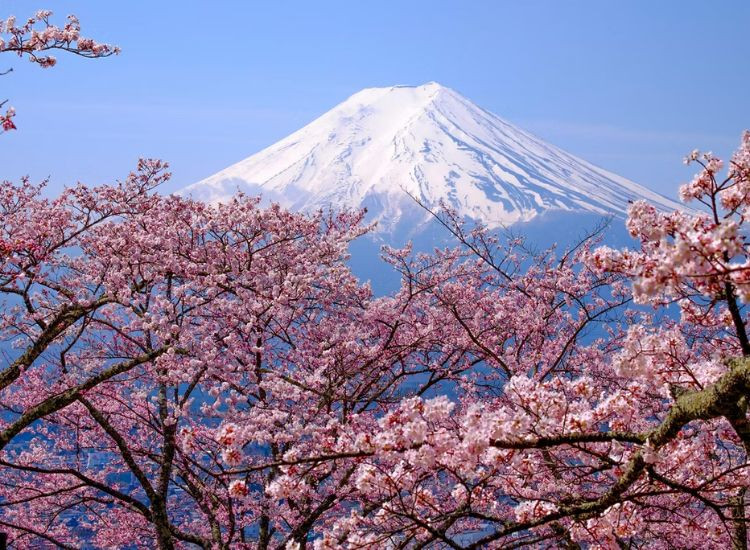 Tour Nhật bản giá rẻ 1