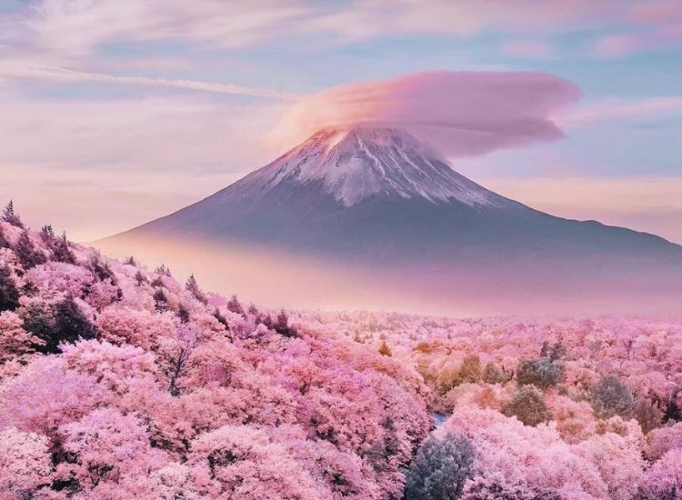 Tour Nhật bản giá rẻ 2