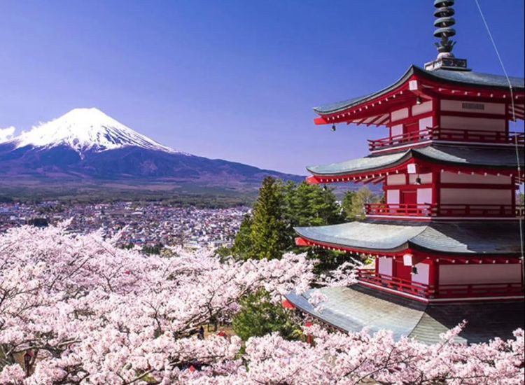 Tour Nhật Bản Giá Rẻ 1