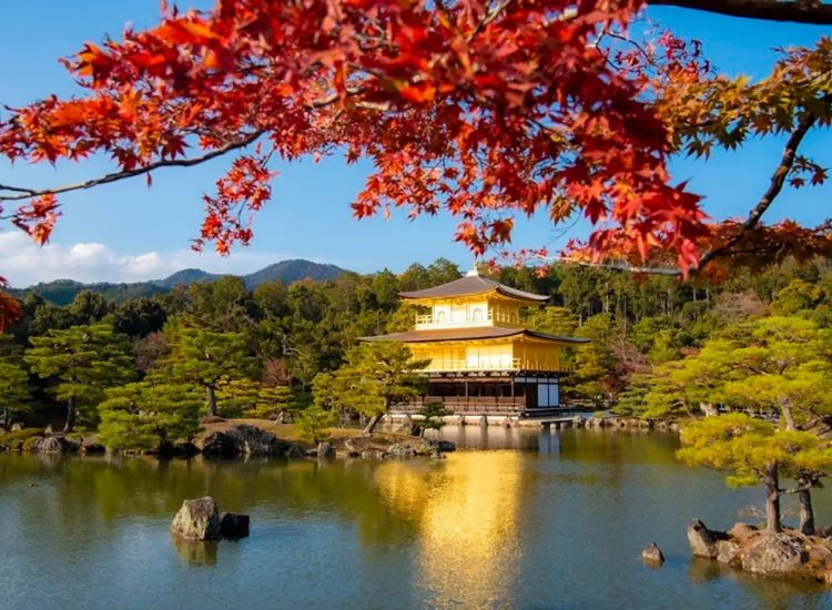 Tour Nhật Bản Giá Rẻ 1