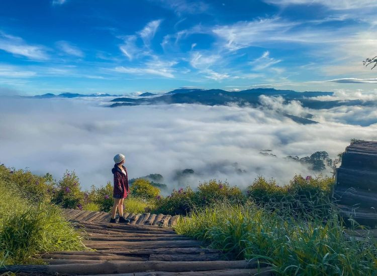 tour săn mây Đà Lạt trọn gói 1