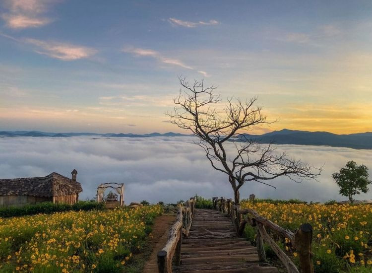 tour săn mây Đà Lạt trọn gói 2