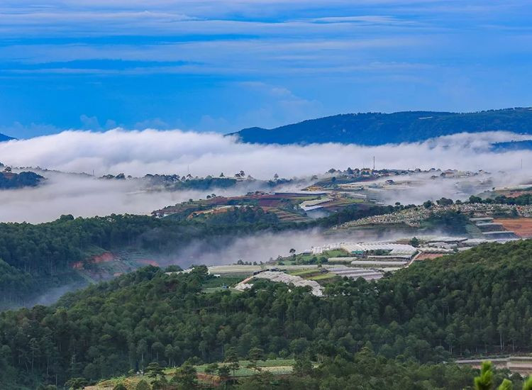 tour săn mây Đà Lạt trọn gói 3