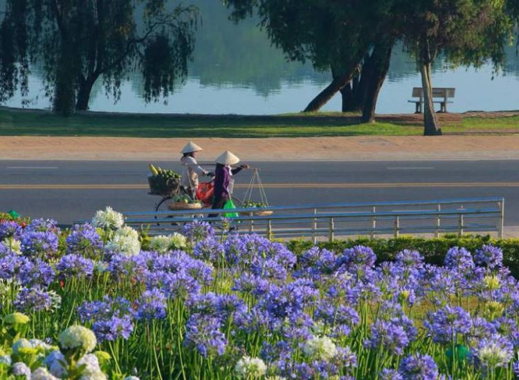 Vì sao tour tham quan Đà Lạt Tết 2026 luôn được săn đón? tour tham quan Đà Lạt Tết 2026 1