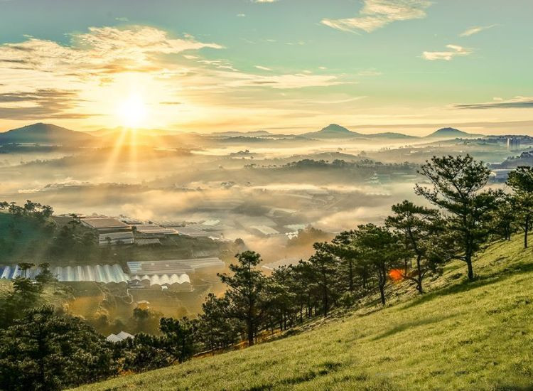 Kinh nghiệm lựa chọn tour tham quan Đà Lạt Tết 2026 tour tham quan Đà Lạt Tết 2026 3