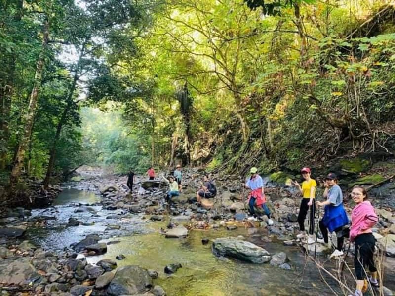 Trekking qua rừng nguyên sinh