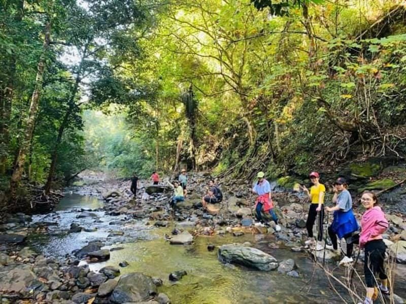 Trekking trong rừng nguyên sinh