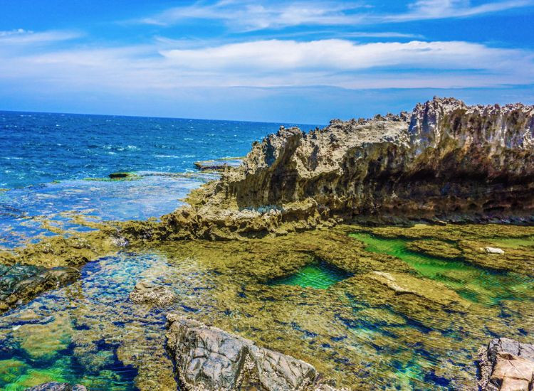 Bí quyết chọn tour Vĩnh Hy Tết 2026 giá rẻ tour Vĩnh Hy Tết 2026 giá rẻ 3