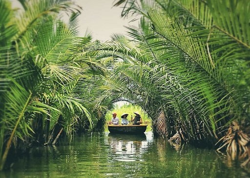 Trải nghiệm đi thuyền thúng ở Rùng Dừa Bảy Mẫu Hội An