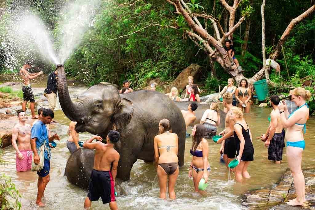  Trải nghiệm tại Elephant Jungle Sanctuary