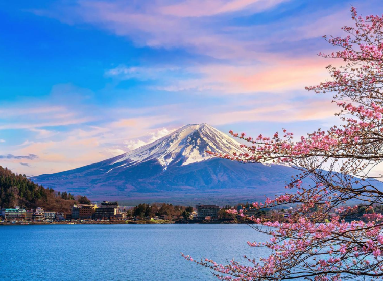 Visa Nhật Bản 2026 1