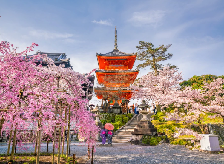 Visa Nhật Bản 2026 2