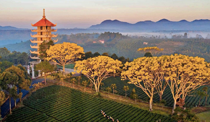 [HÀNH HƯƠNG TẾT 2026] THẬP CẢNH TỰ BẢO LỘC - "CHÙA TÂY TẠNG" SAMTEN HILLS 2N2Đ