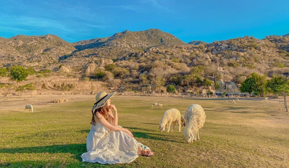 [TOUR DU LỊCH TẾT 2026] BÌNH HƯNG - NINH CHỮ - ĐỒI CÁT NAM CƯƠNG - BAO TÔM HÙM 3N2Đ