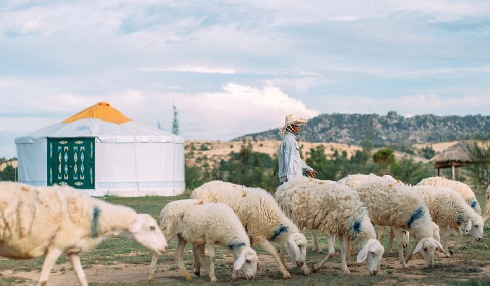 [TOUR DU LỊCH TẾT 2026] BÌNH HƯNG - NINH CHỮ - ĐỒI CÁT NAM CƯƠNG - BAO TÔM HÙM 3N2Đ