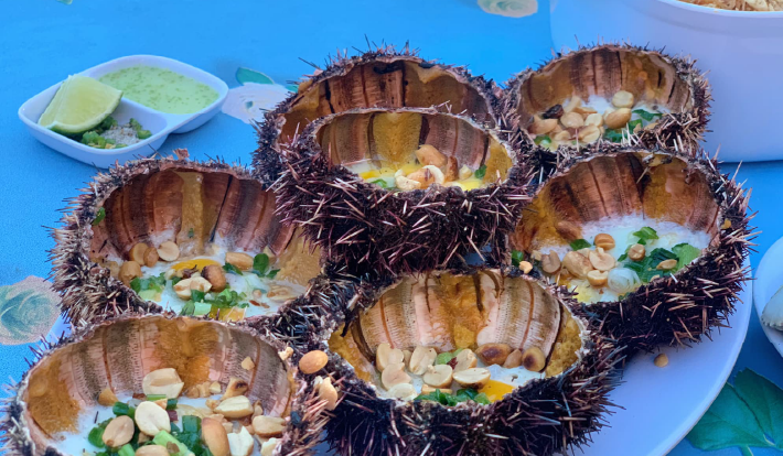 [TOUR DU LỊCH TẾT 2026] BÌNH HƯNG - NINH CHỮ - "LÀNG MÔNG CỔ" TANYOLI - BAO TÔM HÙM - MẸT GÀ TRỨ DANH 2N2D