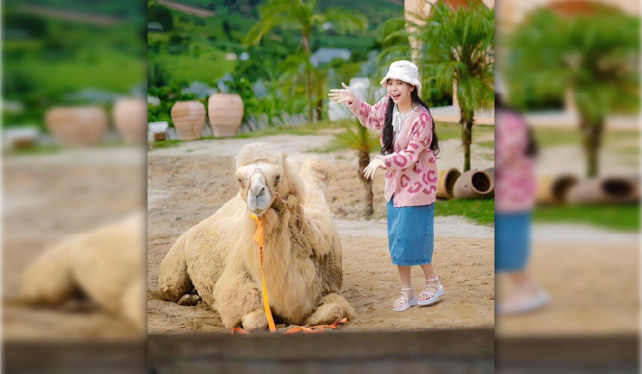 [TOUR DU LỊCH TẾT 2026] ĐÀ LẠT - RESORT WONDER - PUPPY FARM - GOD VALLEY - MONGO LAND 3N3D