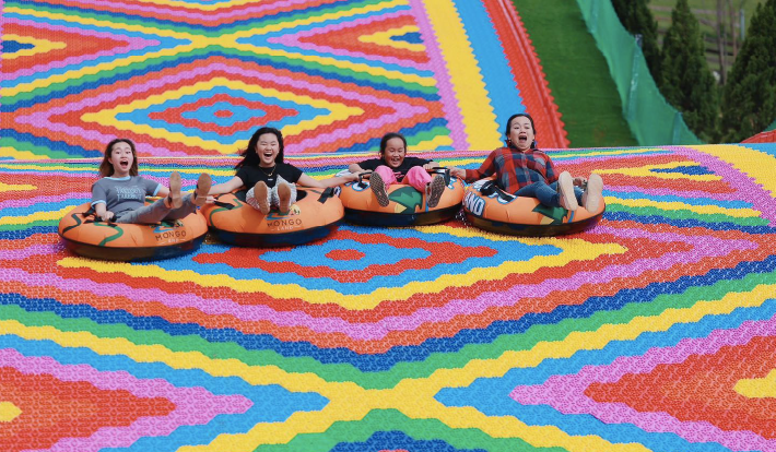 [TOUR DU LỊCH TẾT 2026] ĐÀ LẠT - RESORT WONDER - PUPPY FARM - GOD VALLEY - MONGO LAND 3N3D