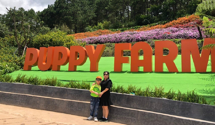 [TOUR DU LỊCH TẾT 2026] LIMOUSINE ĐÀ LẠT - PUPPY FARM - THÁC VOI - BUFFET 2N2Đ