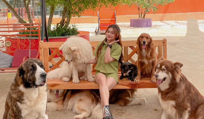 [TOUR DU LỊCH TẾT 2026] LIMOUSINE ĐÀ LẠT - PUPPY FARM - THÁC VOI - BUFFET 2N2Đ