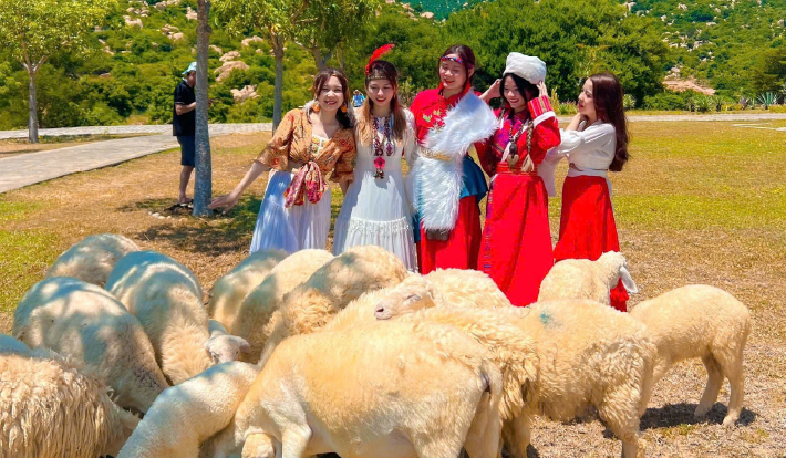 [TOUR DU LỊCH TẾT 2026] LIMOUSINE NINH CHỮ - VỊNH VĨNH HY - CAM RANH - BỮA TỐI HẢI SẢN 3N2D