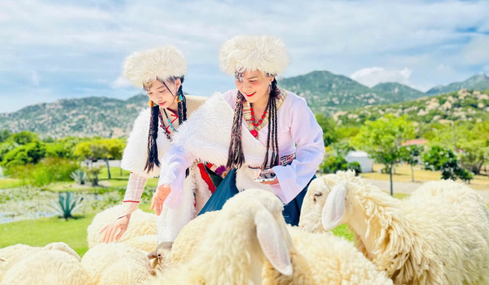 [TOUR DU LỊCH TẾT 2026] LIMOUSINE NINH CHỮ - VỊNH VĨNH HY - CAM RANH - BỮA TỐI HẢI SẢN 3N2D