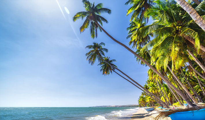 [TOUR DU LỊCH TẾT 2026] PHAN THIẾT - MŨI NÉ - TẶNG TÔM HÙM - RESORT 4 SAO 2N1D