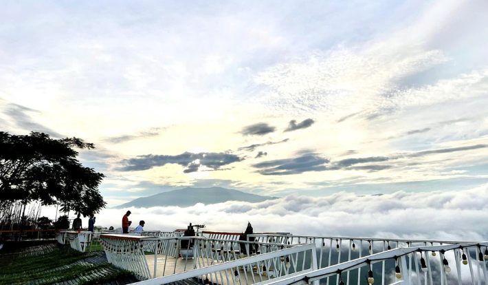 [TOUR DU LỊCH TẾT 2026] SĂN MÂY TÀ ĐÙNG - ĐÀ LẠT 3N3D