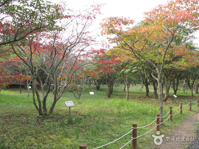 Ảnh: Korea Tourism Organization Ảnh: Korea Tourism Organization