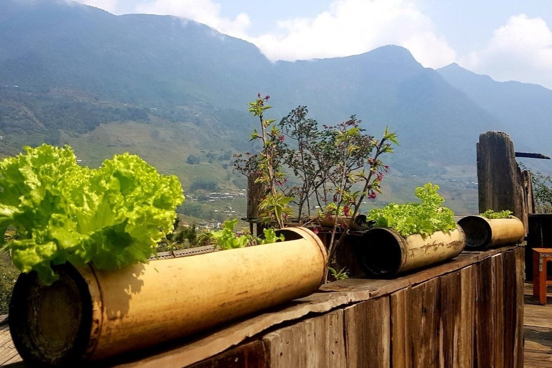 Du lịch Phú Yên Du lịch Phú Yên