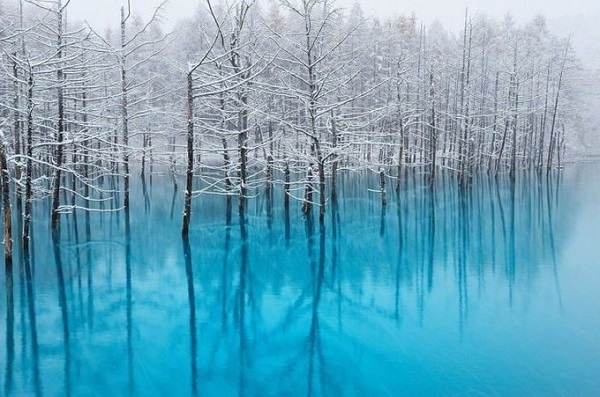 Hồ Xanh Biei, Hokkaido Biei là một ngôi làng nhỏ, được bao quanh bởi thiên nhiên tươi đẹp. Hồ Xanh thực ra là một công trình nhân tạo, hình thành sau khi xây đập nước năm 1988 để chặn dòng chảy từ sông Bieigawa. Màu xanh trong nước hồ là do hợp chất nhôm hydroxit. Ngoài ra tùy thời gian trong ngày, tùy mùa mà nước có màu xanh đậm hay không. Phong cảnh hồ vào mùa đông càng kỳ ảo hơn khi hàng cây có tuyết phủ trắng cành, phản chiếu xuống mặt hồ phẳng lặng và xanh mướt. Ảnh: Kent Shiraishi. Hồ Xanh Biei, Hokkaido Biei là một ngôi làng nhỏ, được bao quanh bởi thiên nhiên tươi đẹp. Hồ Xanh thực ra là một công trình nhân tạo, hình thành sau khi xây đập nước năm 1988 để chặn dòng chảy từ sông Bieigawa. Màu xanh trong nước hồ là do hợp chất nhôm hydroxit. Ngoài ra tùy thời gian trong ngày, tùy mùa mà nước có màu xanh đậm hay không. Phong cảnh hồ vào mùa đông càng kỳ ảo hơn khi hàng cây có tuyết phủ trắng cành, phản chiếu xuống mặt hồ phẳng lặng và xanh mướt. Ảnh: Kent Shiraishi.